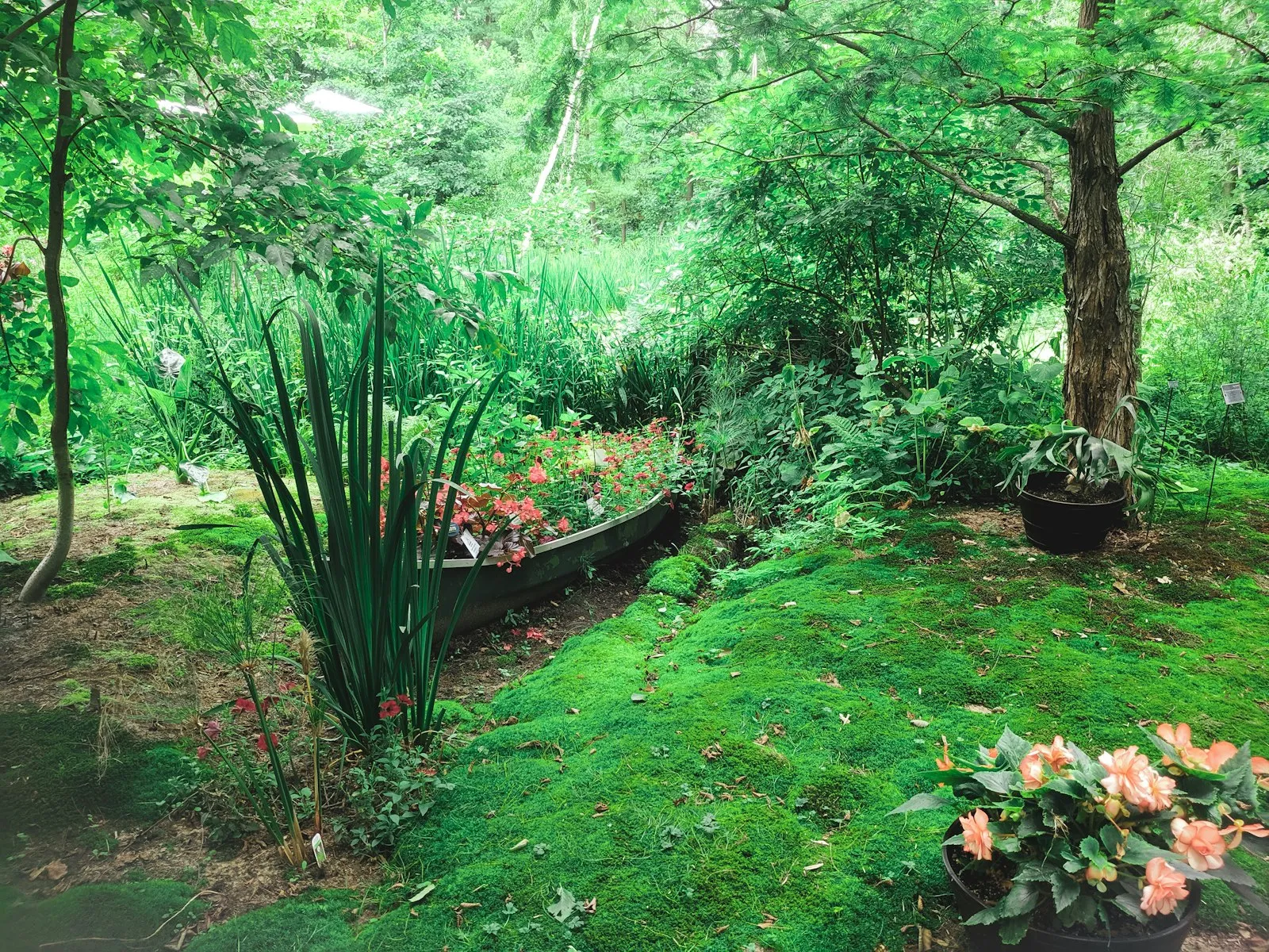 Jardín con césped, canteros florecidos y árboles